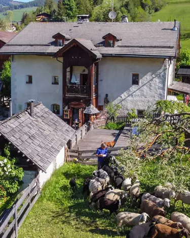 Restaurant and farm Plazores in San Vigilio di Marebbe
