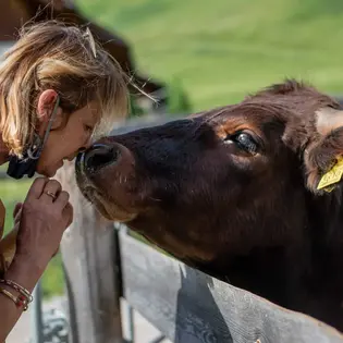 Face to face with the animals