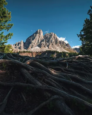 Francesco ungaro Bm F Kswwj Z Cc unsplash